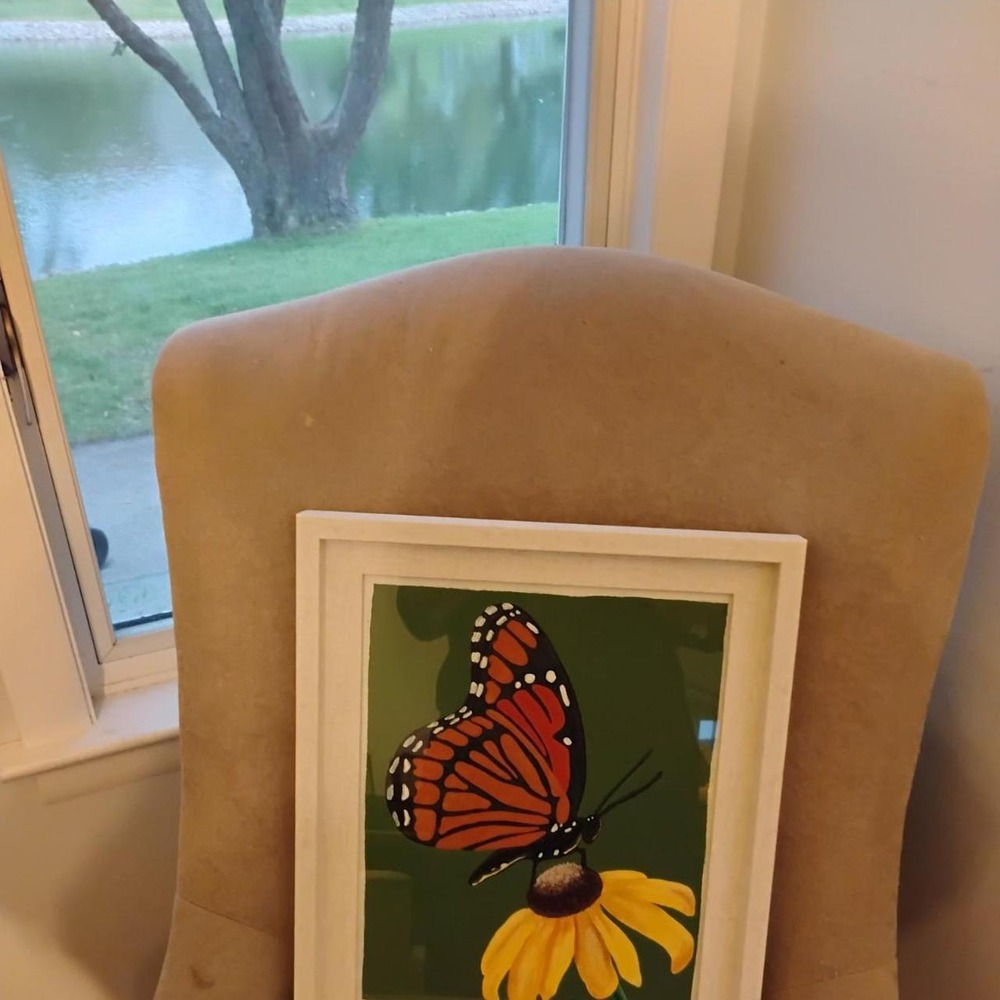 Butterfly picture